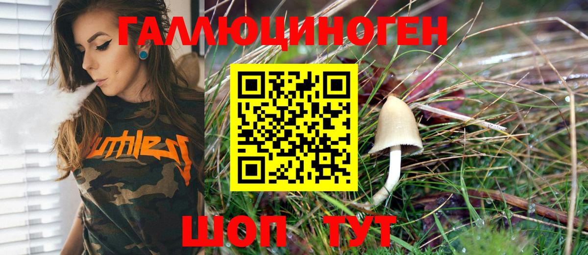 Псилоцибиновые грибы MAGIC MUSHROOMS Солнечногорск